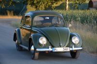 VW K&auml;fer 1200, 1954,30PS_2_1